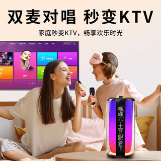 百元K歌设备不敢说的真相：咪头/DSP/延迟/功率全对比，799元档谁是真正王者