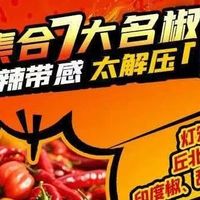 方便面推荐全攻略:网红高价面实测排雷与高口碑火鸡面盘点