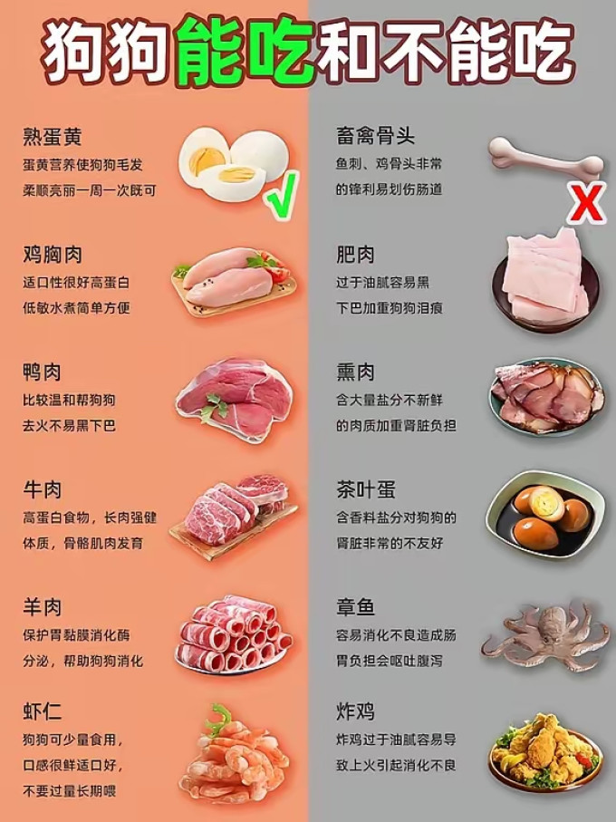 狗狗