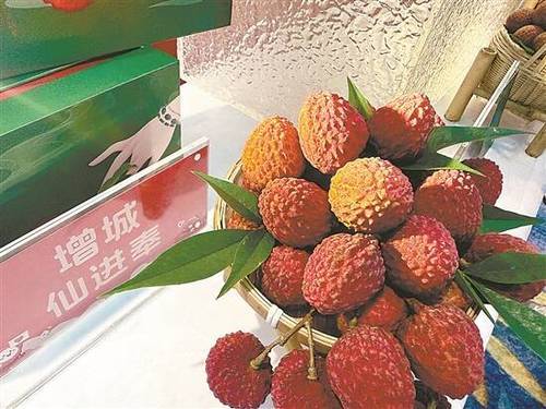 小年荔枝怎么买？2026增城主流品种选购指南：妃子笑性价比最高，桂味糯米糍仙进奉各有什么门道