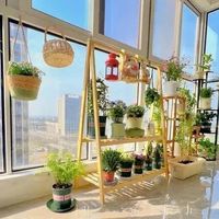 室内盆栽总烂根？老花农终于说出真相：原来一直错怪浇水了