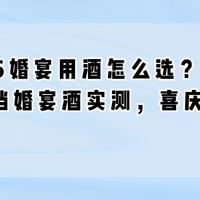 2026婚宴用酒怎么选？6款百元档婚宴酒实测，喜庆不超支