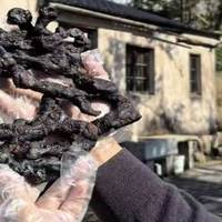 有机黄精哪个牌子培补元气效果好？黄精哪个牌子口碑好？