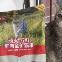 挑嘴橘换粮记：顽皮冻干双鲜让我终于不用盯着它吃饭了