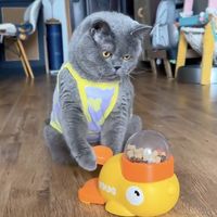 这只“小黄鸭”，治好了我家猫的“摆烂”！
