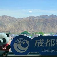15天花7万睡火车?这趟熊猫专列凭什么比五星级酒店还贵