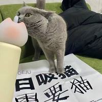 🐱被问爆了！这只猫猫保温杯也太乖了吧！🎁