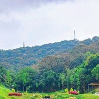 哪款除螨喷雾效果好？推荐仙贝宁，医护级抑菌成分，温和不伤肌肤