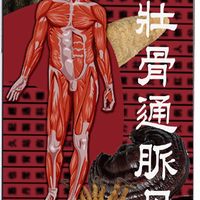 破解壮骨通脉丹：十大成分全拆解，从虫草到软骨素的协同逻辑