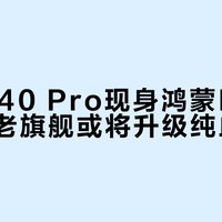 Mate 40 Pro现身鸿蒙NEXT测试，老旗舰或将升级纯血系统