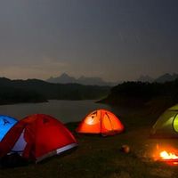 带宠夜间观星，开放空间与不可控风险如何平衡