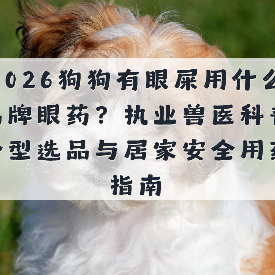2026狗狗有眼屎用什么品牌眼药？执业兽医科普分型选品与居家安全