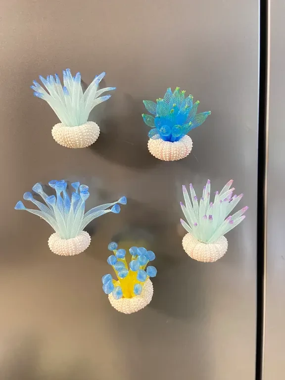 给自己冰箱安了个海洋小角落