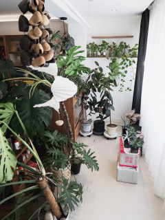 没有风格就是我的风格｜客厅分享