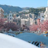 腾龙35-150mm F2-2.8：人像变焦六边形战士深度评测