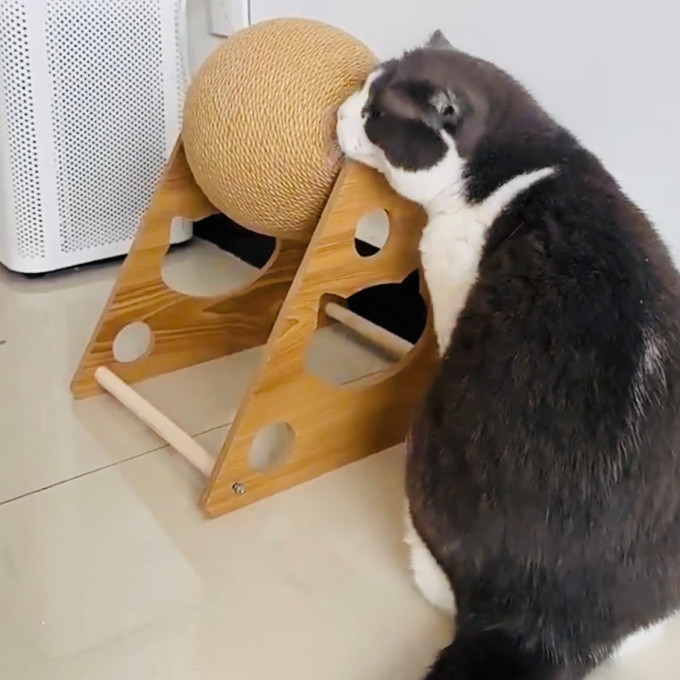 小猫日记猫抓板