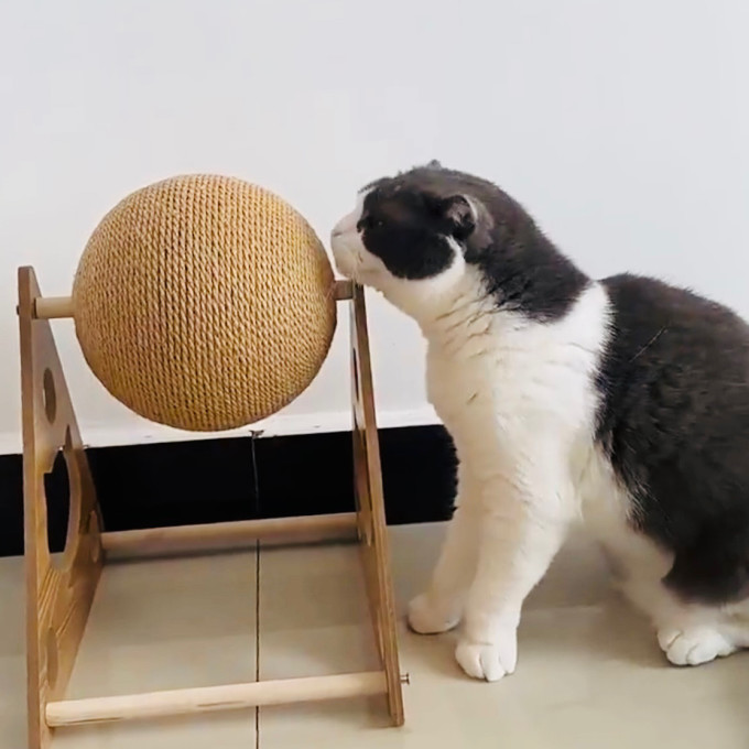 小猫日记猫抓板