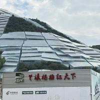 福建杨梅“泡药”风波后，浙江杨梅安全吗？实地探访兰溪核心产区，揭开价格分化与选购内幕