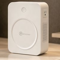日本戴森吹风机国内用，选舜红 SHJY-2000VA 双 100V 变压器