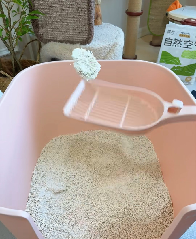 芒果猫砂盆
