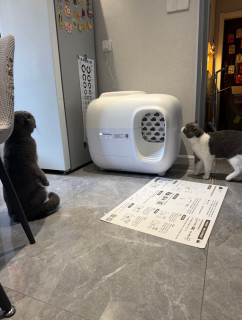 糯雪PetSnowy全自动猫砂盆真实测评