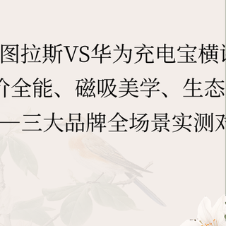 EAKvs图拉斯vs华为充电宝横评2026：三大品牌全场景实测对比
