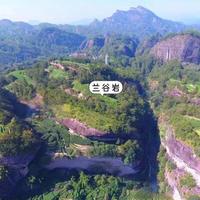 花大钱买的牛肉可能都是假的?2026新国标彻底把岩茶品质说清楚了