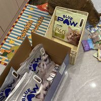 掉毛猫咪救命粮！28天养出蓬松绸缎被毛太绝了🐱