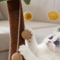 仿真椰子树猫抓柱改变猫咪生活
