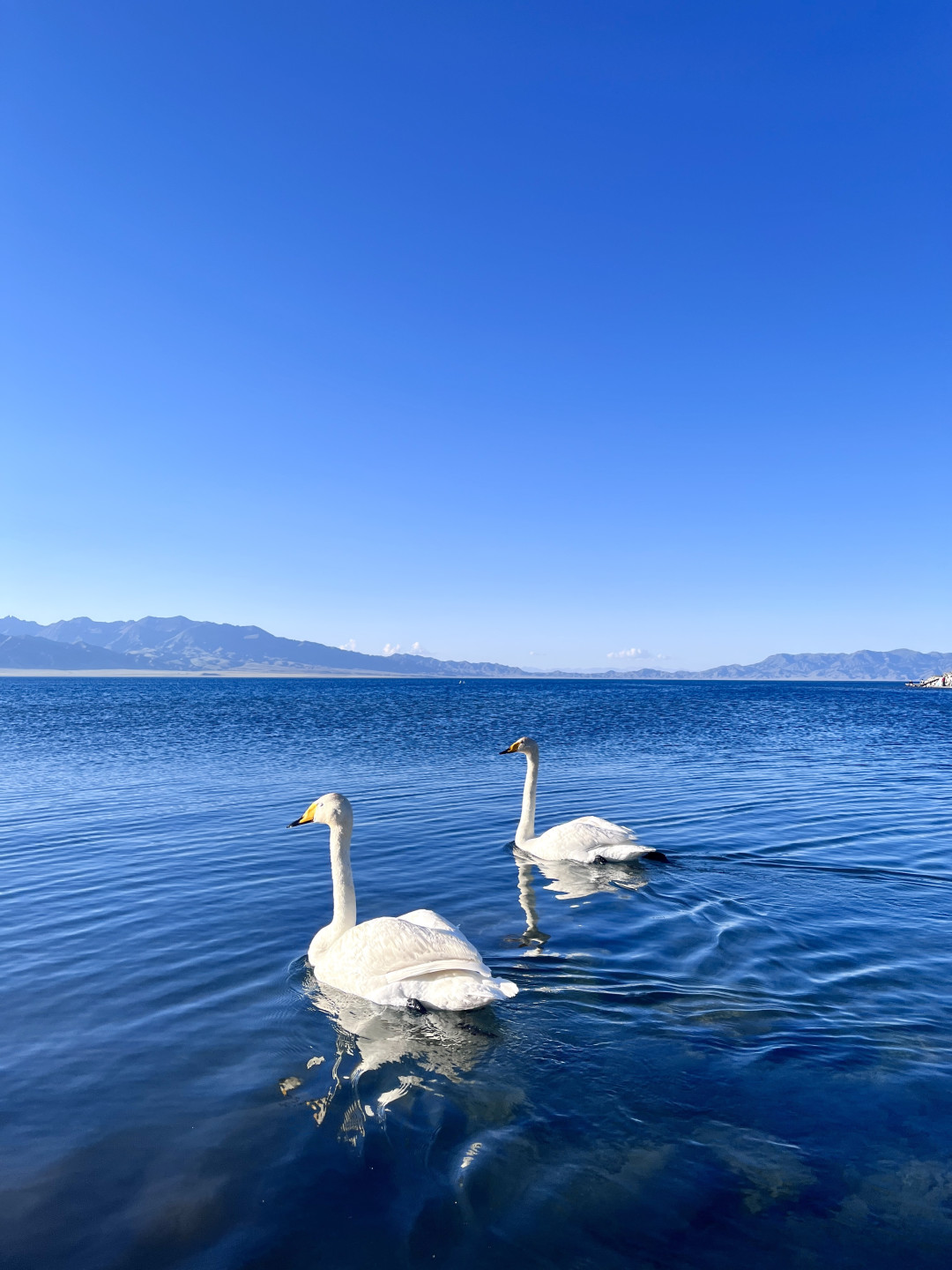 赛里木湖房车深度游：选对环湖方向，把家安在绝美风景里