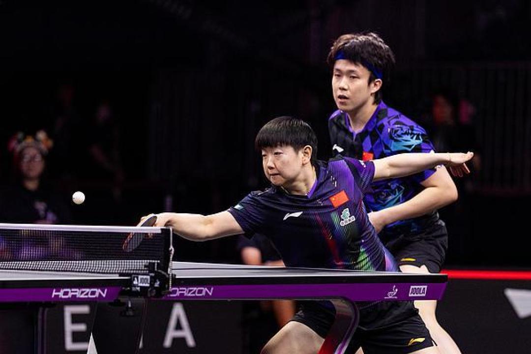 王楚钦孙颖莎回归首秀速胜,3-0横扫对手强势晋级
