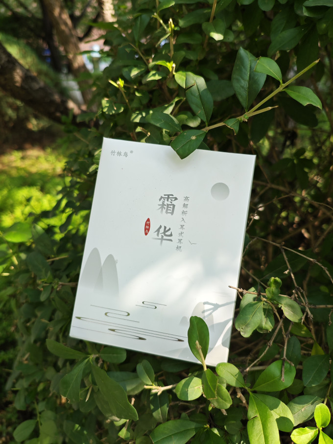 竹林鸟耳塞式耳机