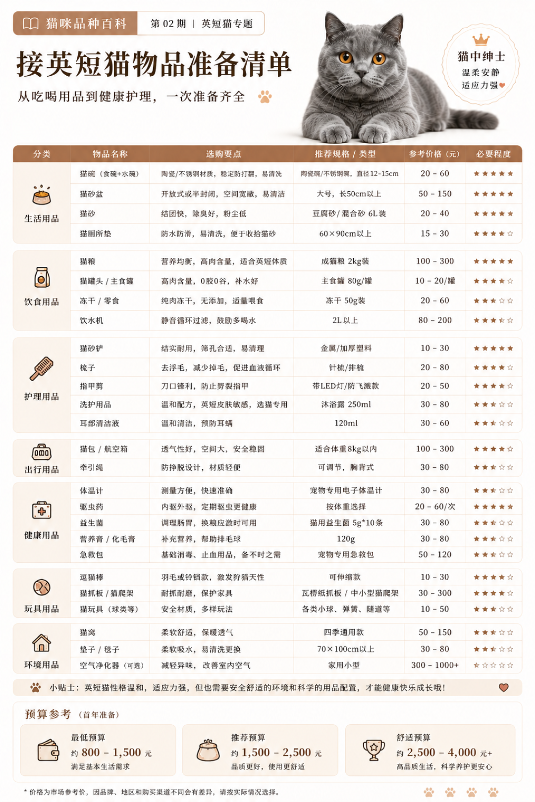 猫中绅士|古老贵族——英短猫喂养全攻略