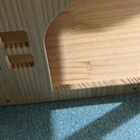 养猫好物推荐：提升猫咪幸福感