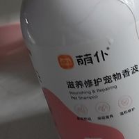 夏季宠物洗护与防护指南