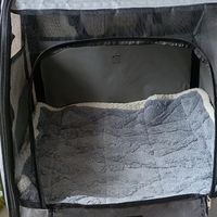 夏日带宠出行降温防护指南