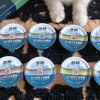 99%动物蛋白主食餐盒，挑食怪直接光盘