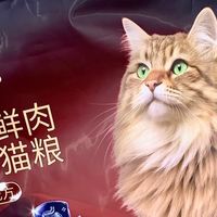 领先这个粮，咋是这样的？