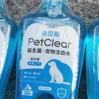 宠物夏季口腔护理指南