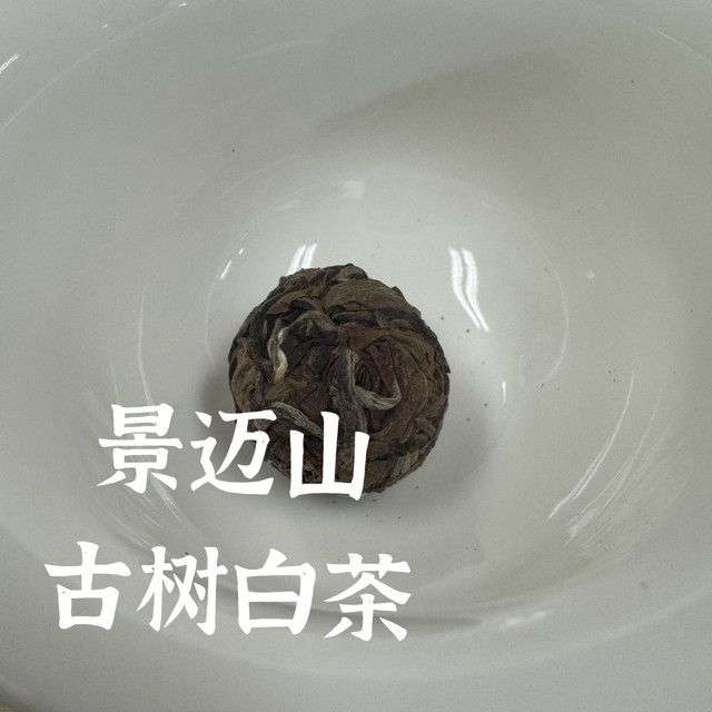 甜蜜蜜之景迈山古树白茶