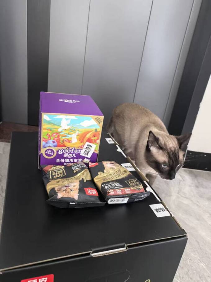 顽皮猫粮