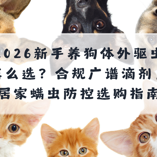 2026新手养狗体外驱虫药怎么选？合规广谱滴剂，居家螨虫防控指南