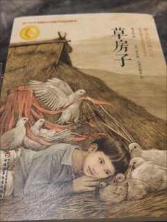 《草房子》：成长与爱的赞歌