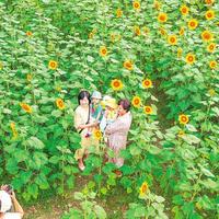 盐城公积金新政落地:已婚子女购房可提取父母余额,三代人的钱袋子打通了