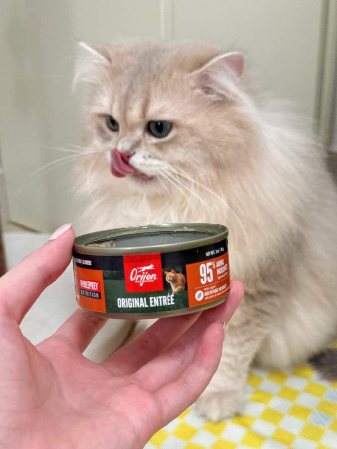 渴望猫粮