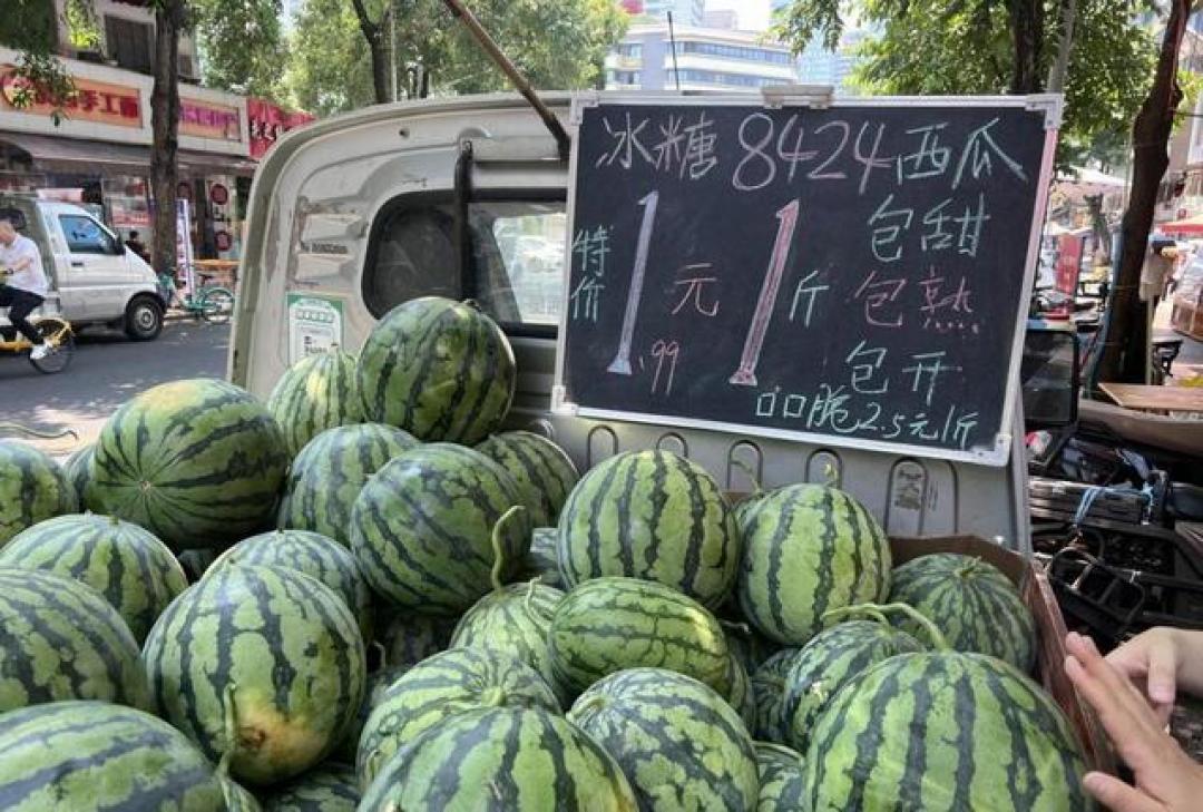 河南瓜农辟谣“几分钱一斤”：背后是丰产不丰收的无奈
