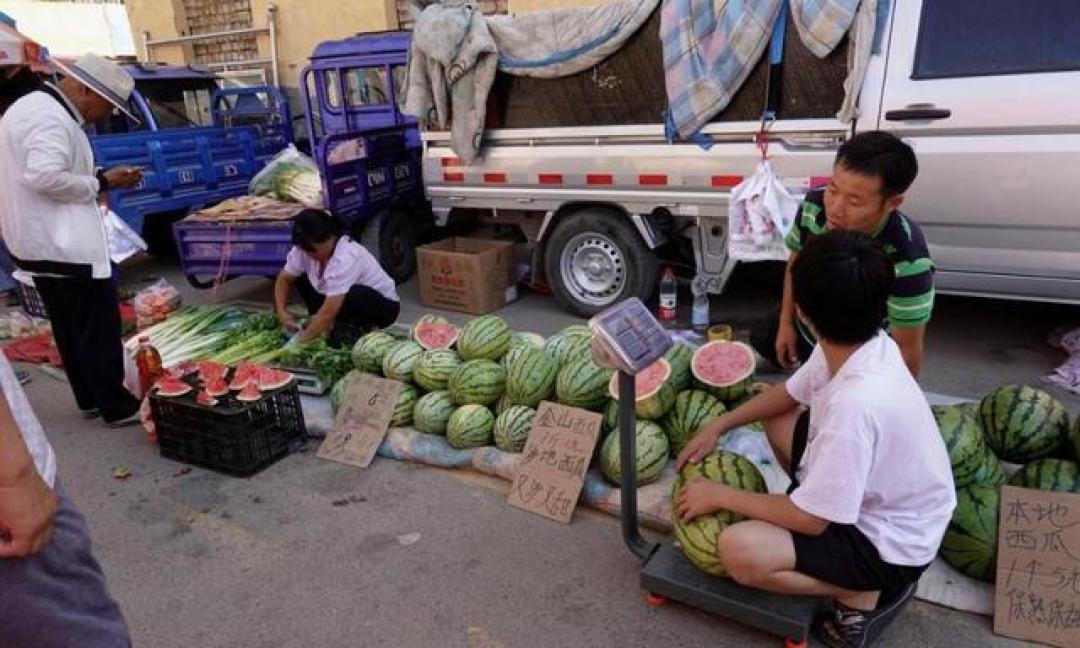 河南瓜农辟谣“几分钱一斤”：背后是丰产不丰收的无奈