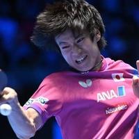 张本智和20分钟速胜轰出11-1，2号种子剑指个人首个大满贯冠军