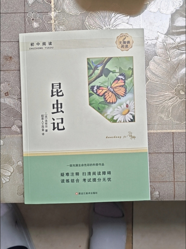 法布尔《昆虫记》：夏日草丛的观察