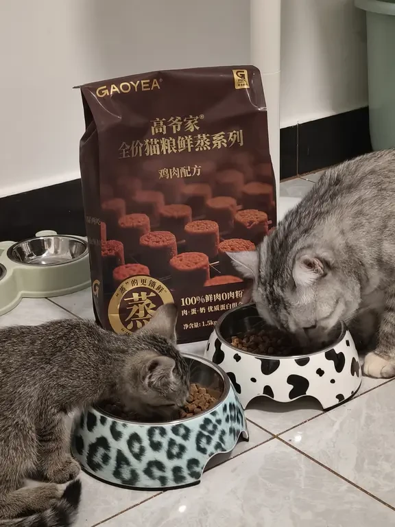 这吃的也太香了叭🤤